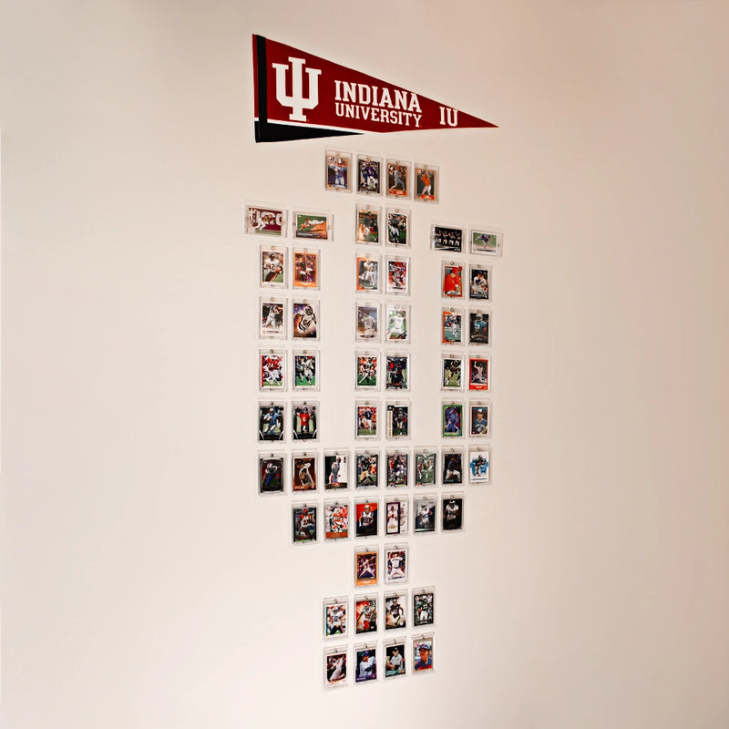 Indiana University Themed